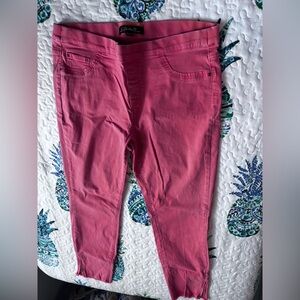 Charlie B Orange Ankle Jeans 14